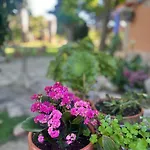 Casa de Férias Entre Dos Aguas Azuara