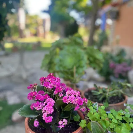 펜션 Entre Dos Aguas Azuara