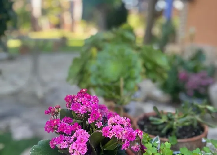 Сasa de vacaciones Entre Dos Aguas Azuara